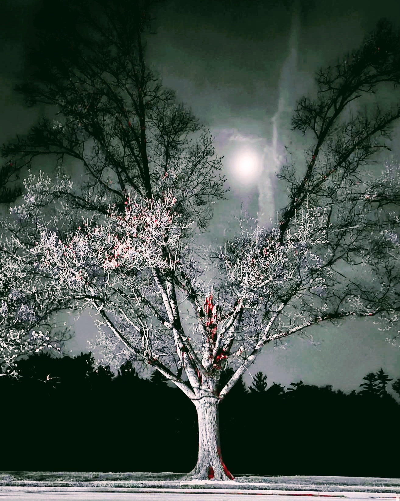 Frost-covered tree beneath a bright moon in a dark green sky