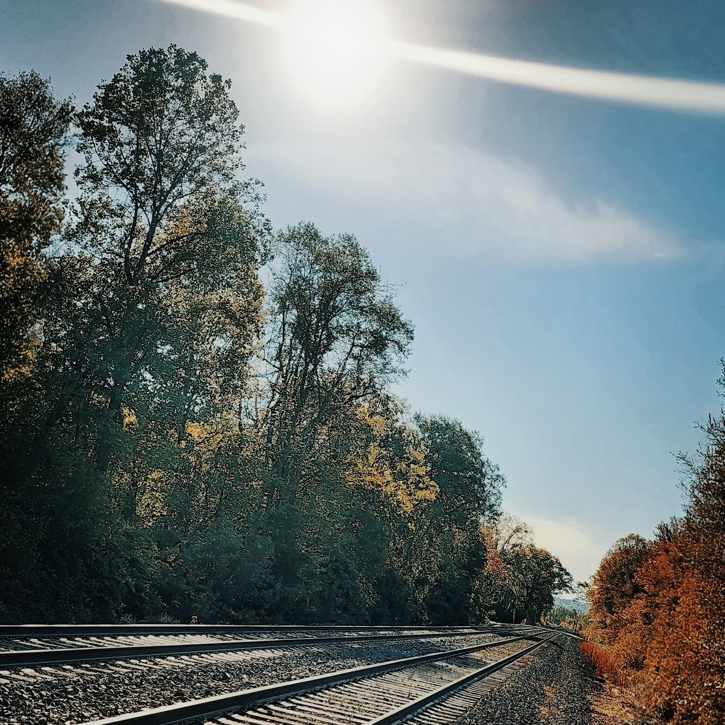 Railroad tracks curving into autumn trees under a bright sun