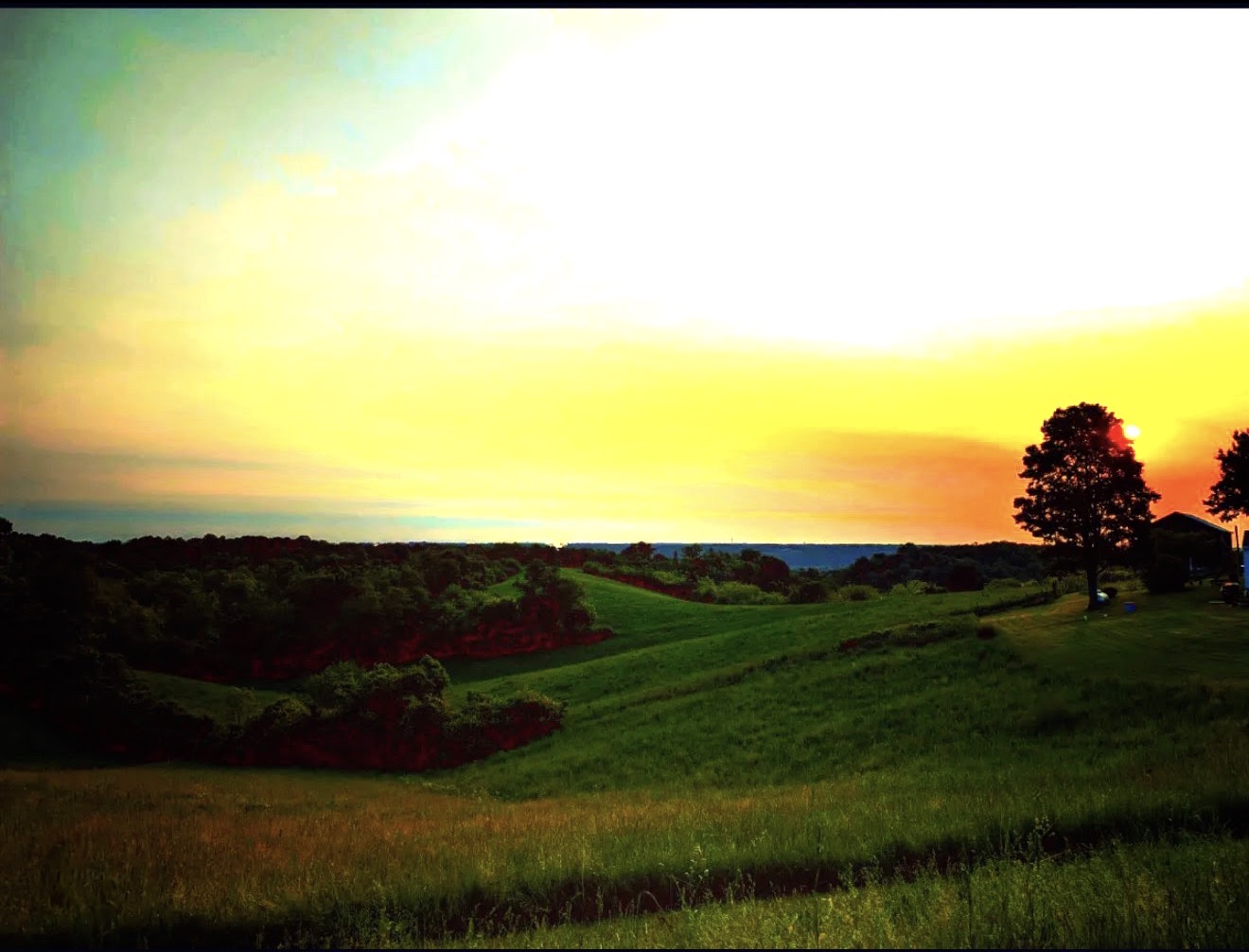 Rolling green hillside beneath a molten yellow sunset