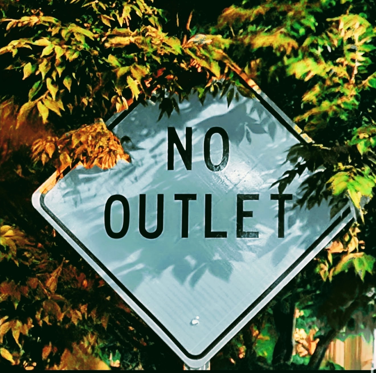 No Outlet sign surrounded by autumn leaves
