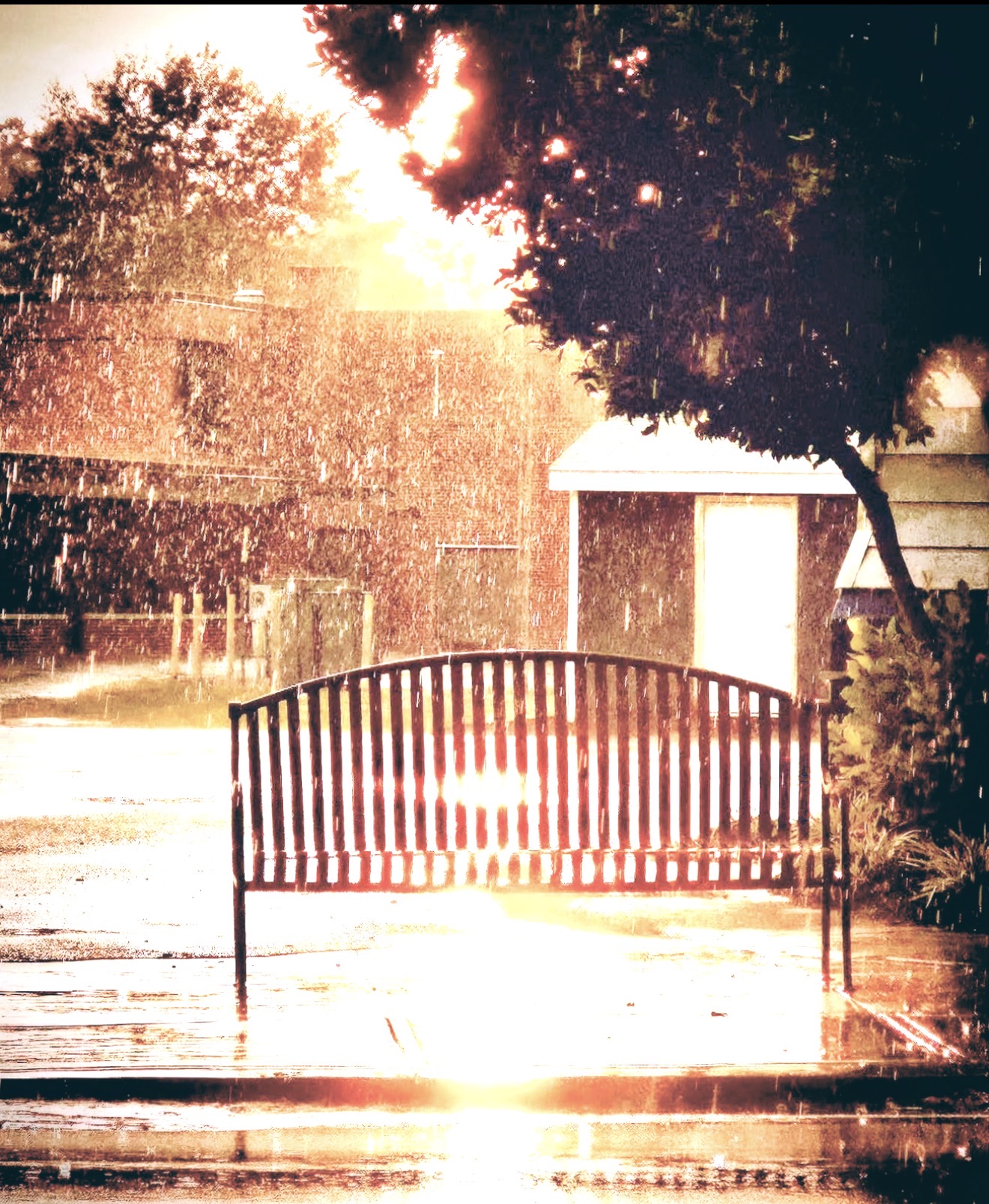 Empty bench in golden rain