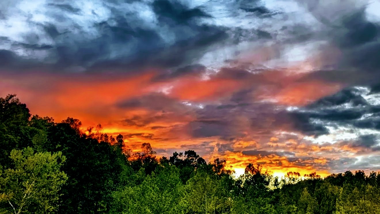 Stormy ember-coloured sky over a distant treeline