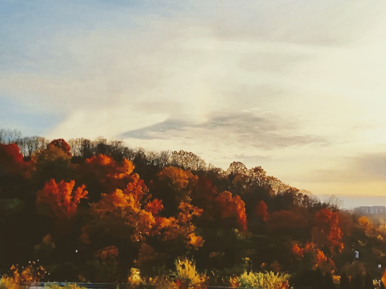 Autumn ridge of orange and red trees under a pale morning sky