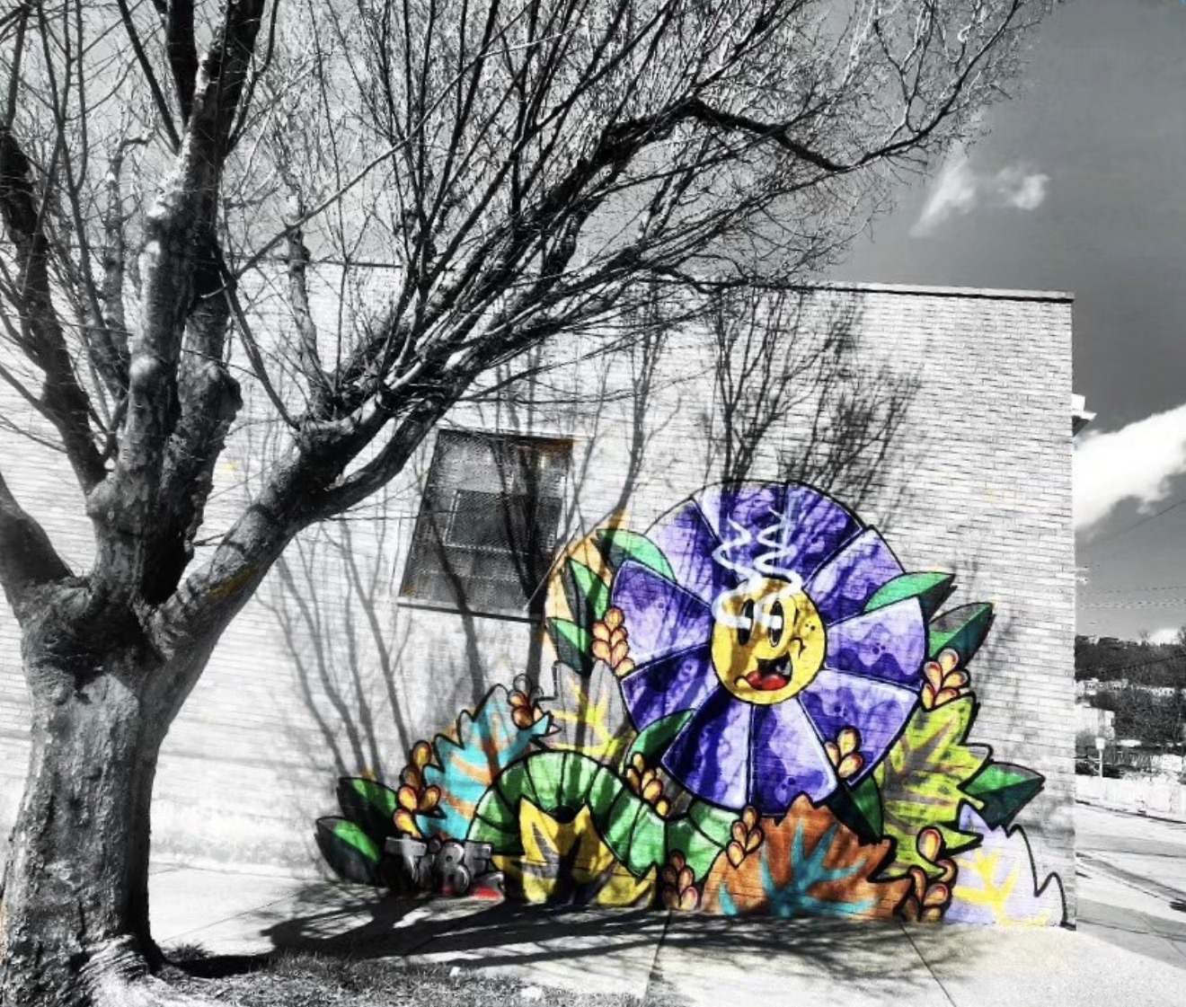 Colourful flower mural on a black and white street corner