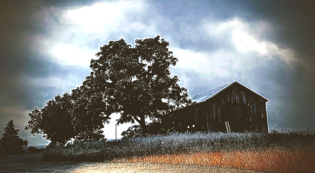 Silhouetted barn and old tree against a silver storm sky
